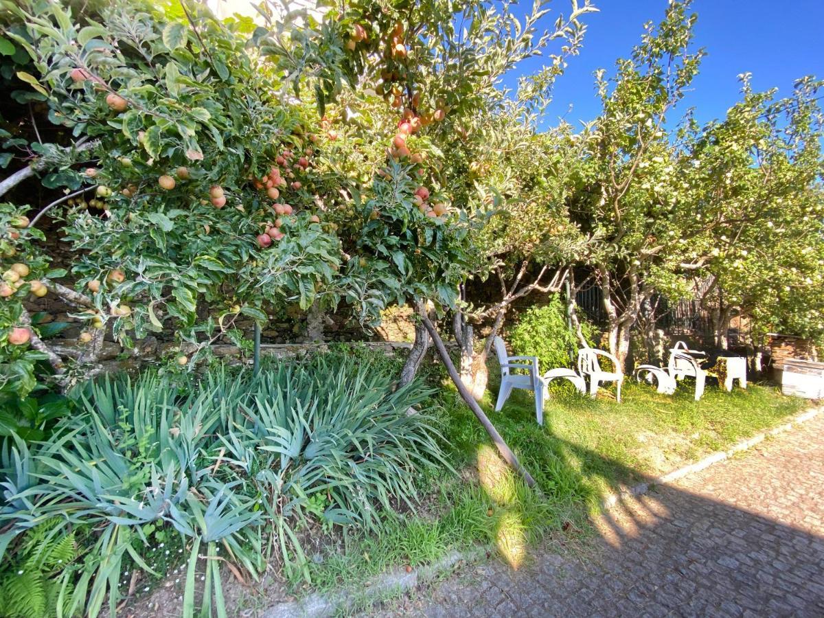 דירות אונהייס דה סרה Casa Da Risca מראה חיצוני תמונה